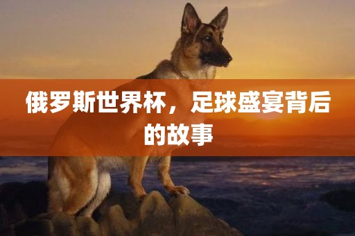 新澳門今晚9點35分下一期預(yù)測和2025全年免費精準資料:牛、豬、馬、猴:宏觀釋義、專家解讀解釋與落實?,拒絕虛假的偽裝