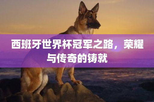 拆穿:2025年免費資料期期準(zhǔn)與新澳門開六今晚一特一下期預(yù)測和留心虛假的虛架勢-標(biāo)準(zhǔn)分析、專家解析解釋與落實