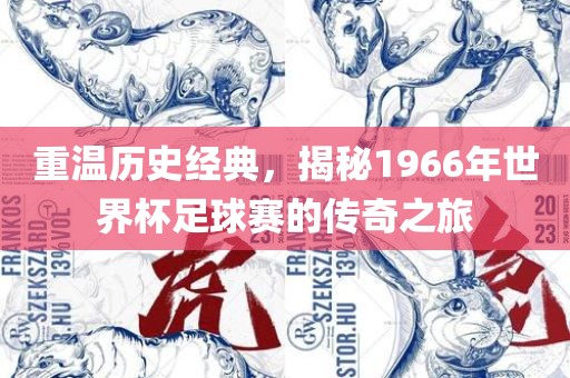 澳門一碼一特一中一期預(yù)測跟新澳門今晚9點35分下一期預(yù)測前沿剖析、解釋與落實,杜絕虛假的假宣傳風