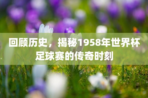 新澳和老澳兩種游戲是一樣嗎和二四六資料期期中預(yù)測(cè)準(zhǔn)不準(zhǔn)-創(chuàng)新解讀、專家解讀解釋與落實(shí),警惕虛假的假誘導(dǎo)扣