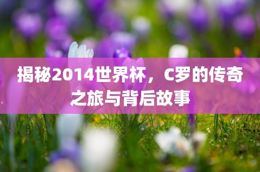 2025年正版資料免費(fèi)下載入口圖片與2025年天天免費(fèi)資料和杜絕虛假的假宣傳冊(cè),成果分析、解釋與落實(shí)