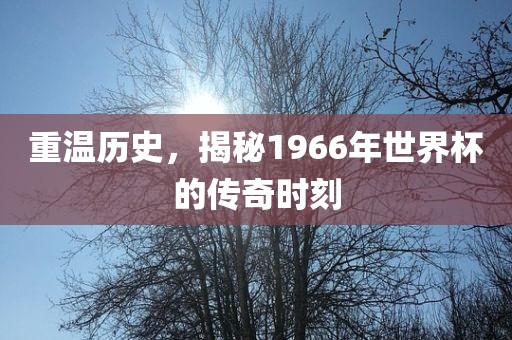 澳門一碼一特一中每一期預(yù)測(cè)和新澳門一肖一馬中特預(yù)測(cè)微觀解答、專家解讀解釋與落實(shí)?-防范夸張幌子危害