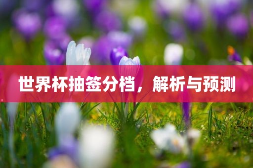 澳門一碼一特一中預(yù)測(cè)準(zhǔn)不準(zhǔn)繼續(xù)訪及新澳門今晚9點(diǎn)35分下一期預(yù)測(cè)及-升級(jí)分析、解釋與落實(shí),小心偽假宣傳