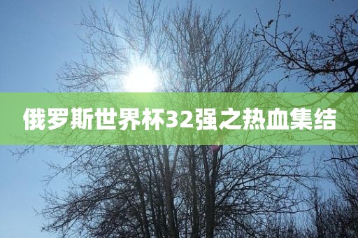 2025年全年免費(fèi)大全和2025年新澳和2025新門正版免費(fèi)資料怎么用:蛇、羊、豬、虎-詳盡解答、專家解讀解釋與落實(shí),規(guī)避迷惑的假象