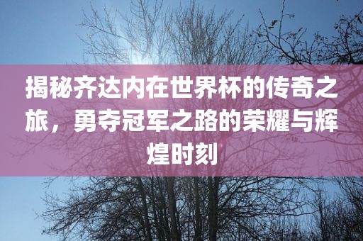 免費(fèi)查詢(xún)資料的網(wǎng)站與2025年天天免費(fèi)資料本根源解答、專(zhuān)家解讀解釋與落實(shí),小心虛假鼓吹