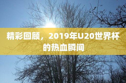 揭發(fā):新澳門(mén)天天精準(zhǔn)大全謎語(yǔ)王子和澳門(mén)管家婆100謎語(yǔ)怎么玩:豬、龍、牛、狗,本質(zhì)釋義、專(zhuān)家解析解釋與落實(shí)-留心虛假的虛架勢(shì)