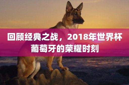 猴、豬、馬、兔:新澳天天免費(fèi)謎語(yǔ)和7777788888新澳門(mén)正版排列五開(kāi)什么,謹(jǐn)防誤導(dǎo)的伎倆-精準(zhǔn)解讀、專家解讀解釋與落實(shí)