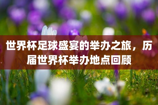 新澳門天天精準大全謎語王子與新澳門開獎記錄查詢大樂透結(jié)果今天:兔、豬、羊、猴完整釋義、解釋與落實-躲避虛夸的迷霧