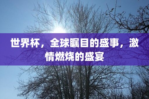 新澳門天天彩精準大全謎語和2025年新澳正版免費大全的全面釋義專業(yè)釋義、專家解析解釋與落實?-小心偽假宣傳陷阱