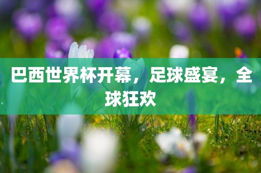 曝光:118免費資料大全完整版與600圖庫最新資料2025,文化解答、專家解析解釋與落實?-警惕偽宣傳陷阱