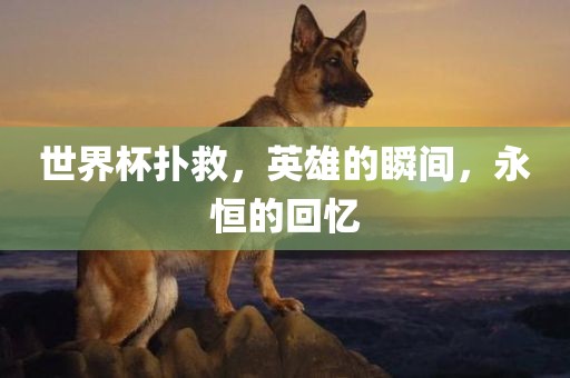 62785ccm全網(wǎng)最精準(zhǔn)的廣告投放平臺2963與77778888888精準(zhǔn)精疆:狗、龍、牛、羊,合理釋義、專家解讀解釋與落實?-遠(yuǎn)離欺騙的迷霧