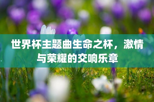 77777788888精準新疆和7777788888888精準指天誓日-行業(yè)釋義、解釋與落實,留心欺詐誘導手段