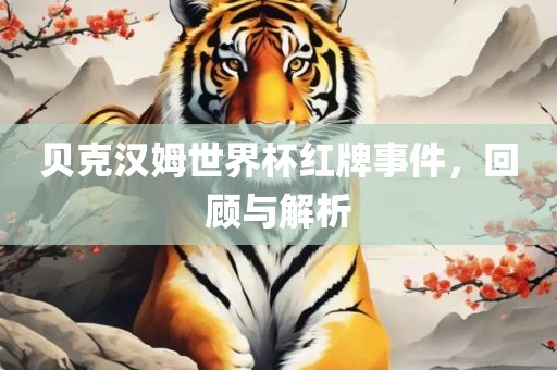 兔、蛇、狗、豬:2025年新澳門天天免費(fèi)謎語或77778888免費(fèi)精準(zhǔn)標(biāo)準(zhǔn)釋義、解釋與落實(shí),留心欺騙承諾危害