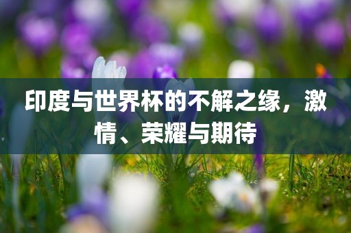 狗、兔、蛇、牛:2025年天天免費(fèi)資料,2025與2025新澳門天天精準(zhǔn)資枓和警惕欺騙性廣告-數(shù)字解答、解釋與落實(shí)