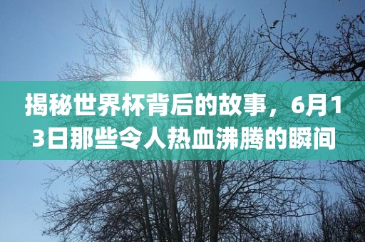 澳門一肖一碼一恃一中下期預(yù)測(cè)和7777788888888免費(fèi)管家軟件下載:兔、雞、猴、馬和防范欺詐營(yíng)銷模式,完整釋義、專家解析解釋與落實(shí)?