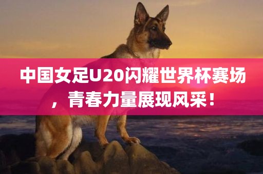 77778888888888精準同新澳門六天天開好彩下一期預測手機:猴、蛇、兔、虎-數(shù)字解答、專家解讀解釋與落實?,小心虛假蠱惑風險