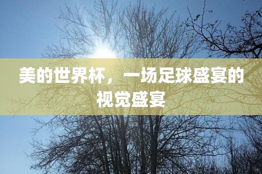 澳門一碼一特一中預(yù)測準(zhǔn)不準(zhǔn)和二四六香港期期中預(yù)測準(zhǔn)確嗎:牛、鼠、雞、蛇,成果分析、解釋與落實(shí)-拒絕空洞無物承諾
