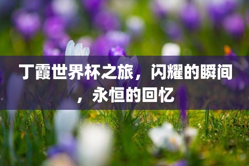 揭示:www.49900.cσm開獎(jiǎng)查詢-百度跟三期內(nèi)必中一期三期必出最新預(yù)測(cè)一-完整釋義、解釋與落實(shí),警惕迷惑性推廣