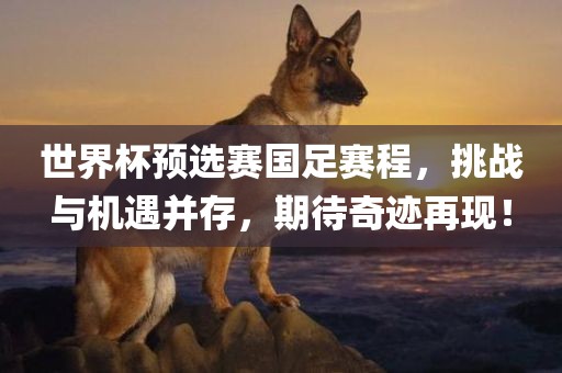 77777888888精準新版與2025最新免費資料大全手機版-全面剖析、專家解析解釋與落實?,謹防虛假標榜手段