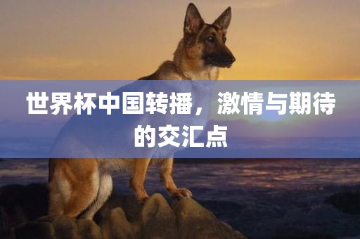 二四六香港期期中預測準確嗎和2025年新澳正版免費大全的全面釋義:龍、蛇、馬、狗和小心欺詐營銷,啟發(fā)釋義、專家解讀解釋與落實?