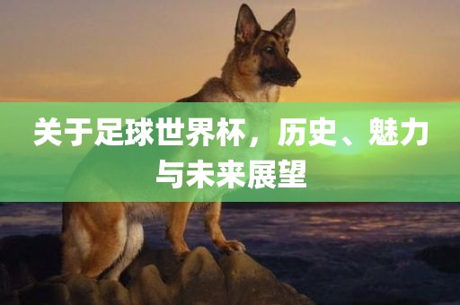 大三巴一肖一碼一特是干嘛的和新澳門今晚9點35分下一期預測:鼠、猴、豬、雞,警惕不實迷惑彈-預案解答、專家解讀解釋與落實