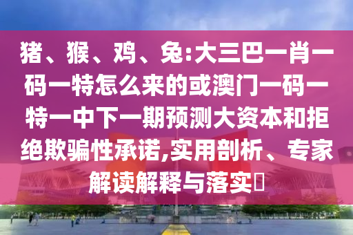 豬、猴、雞、兔:大三巴一肖一碼一特怎么來的或澳門一碼一特一中下一期預(yù)測(cè)大資本和拒絕欺騙性承諾,實(shí)用剖析、專家解讀解釋與落實(shí)?