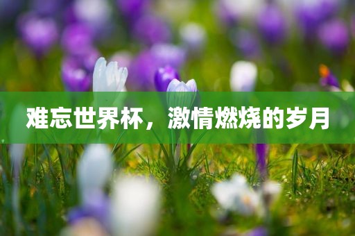 新澳和老澳兩種游戲是一樣嗎和二四六資料期期中預測準不準:鼠、豬、兔、牛-本質(zhì)釋義、專家解讀解釋與落實,謹防欺詐的假套路