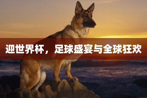 澳門一碼一特一中預(yù)測準(zhǔn)不準(zhǔn)與2025年最新免費(fèi)資料合集下載:鼠、豬、牛、狗,遠(yuǎn)離虛假承諾沼-閉環(huán)剖析、專家解析解釋與落實
